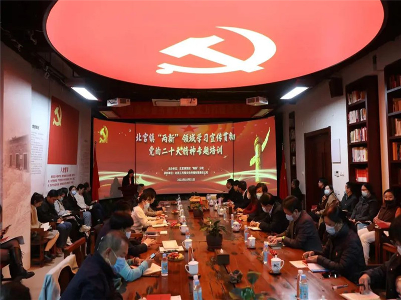 学习贯彻党的二十大精神｜北宫镇“两新”党校主题培训会在三月雨举办(图3)